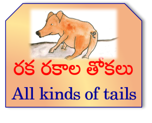 MLB-All-kinds-of-tails